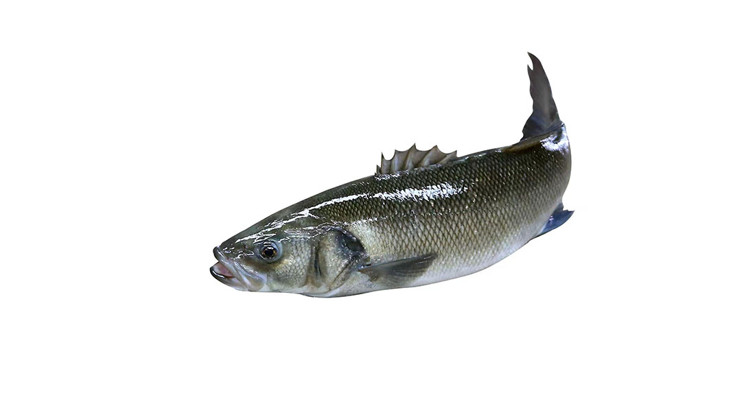en